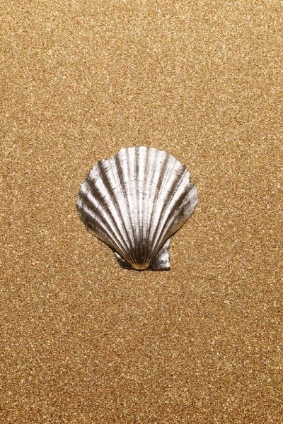 Shell on a gold background. Minimal art